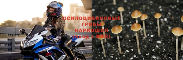 COCAINE Арсеньев