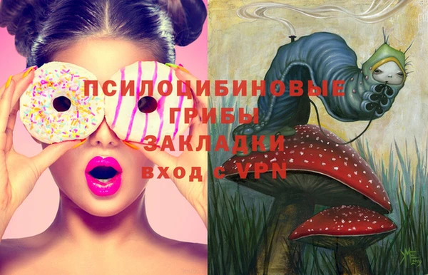 spice Баксан