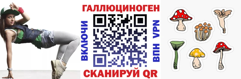 Псилоцибиновые грибы GOLDEN TEACHER  где продают наркотики  Верещагино 